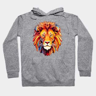 Colourful Lion Hoodie